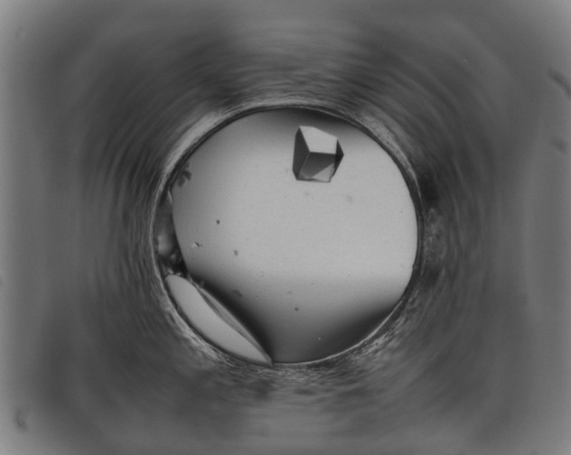 X0000097861197200804041522