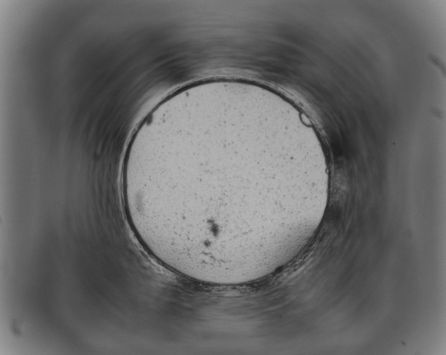 X0000097861199200804041522