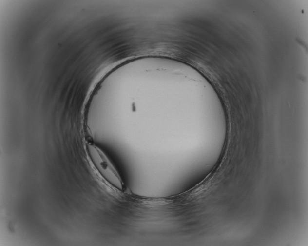 X0000097861200200804041522