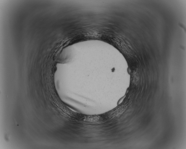 X0000097861201200804041521