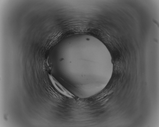 X0000097861202200804041521