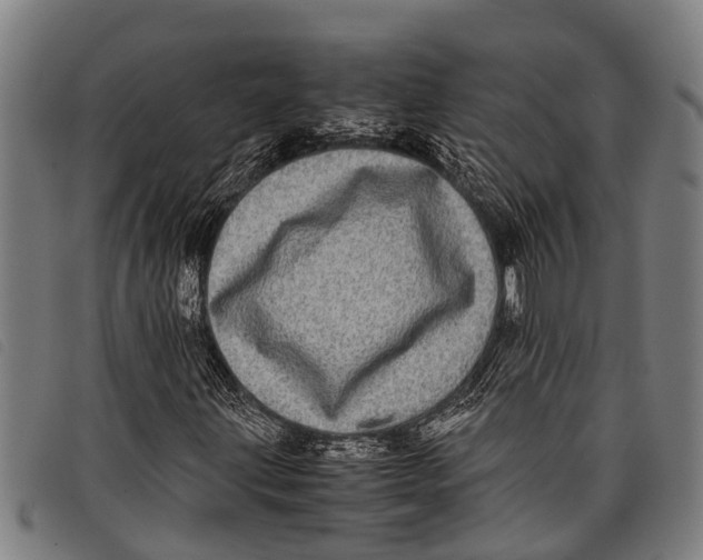 X0000097861203200804041521