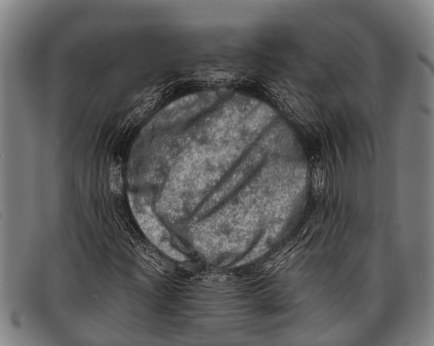 X0000097861204200804041521