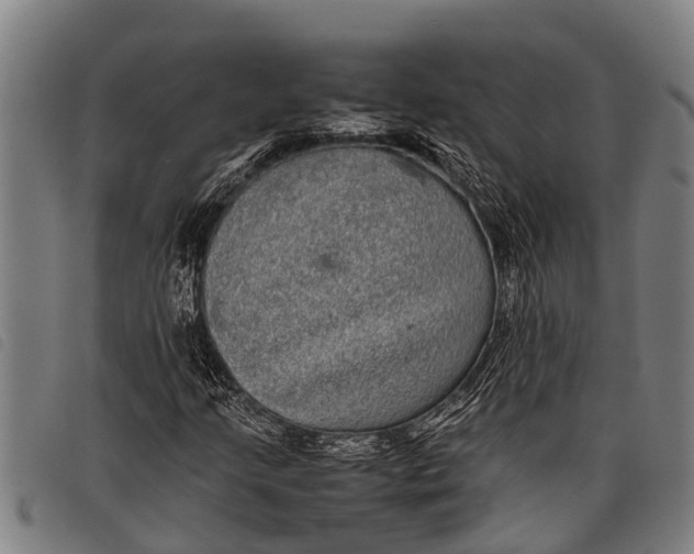 X0000097861205200804041521