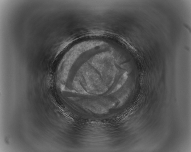 X0000097861208200804041521