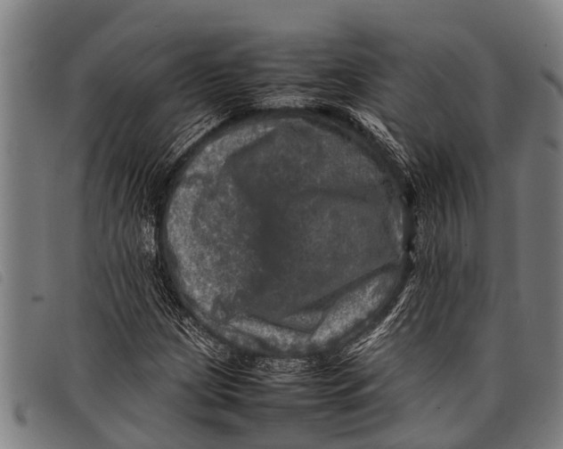 X0000097861209200804041521