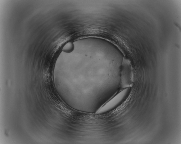 X0000097861210200804041521