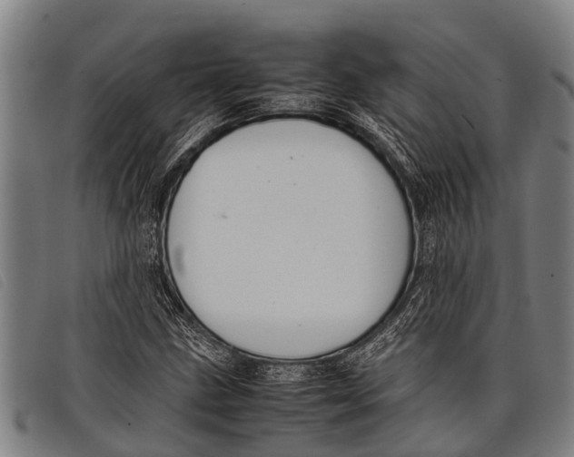 X0000097861211200804041521