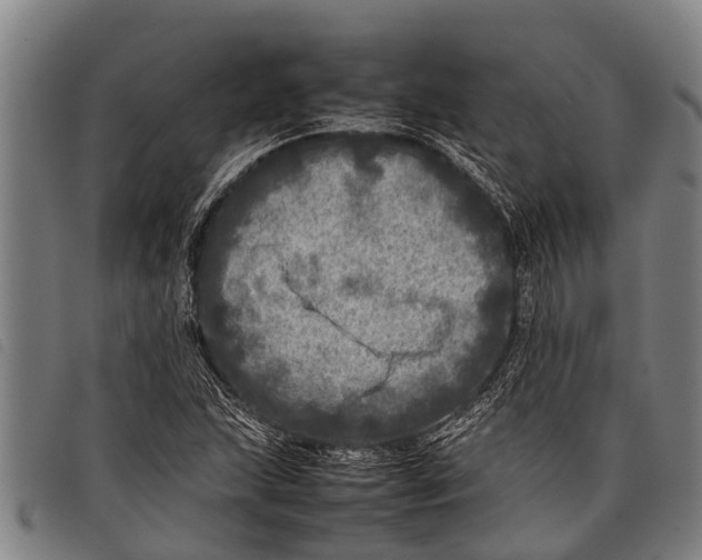 X0000097861215200804041521