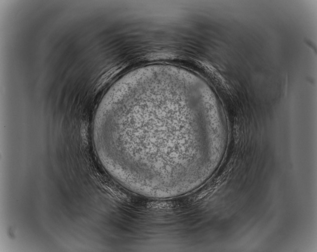 X0000097861217200804041521