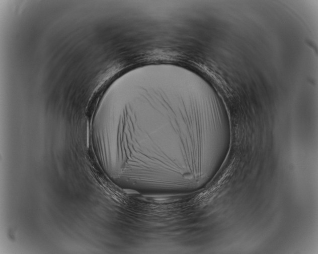 X0000097861219200804041521