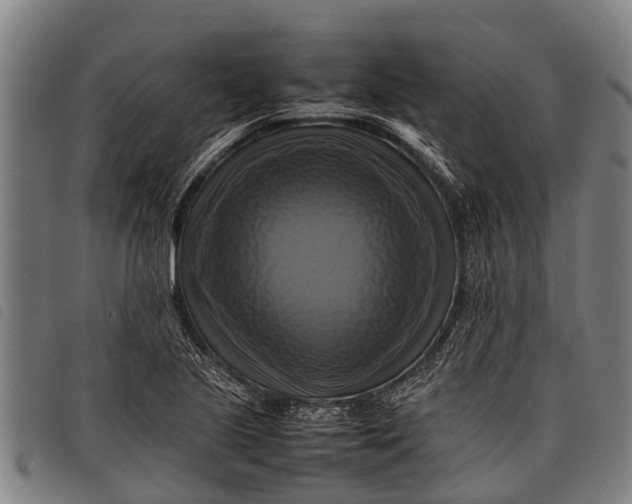 X0000097861221200804041521