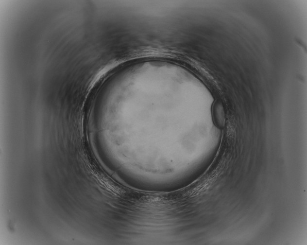 X0000097861222200804041521