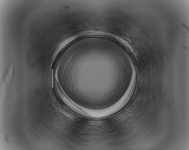 X0000097861223200804041521