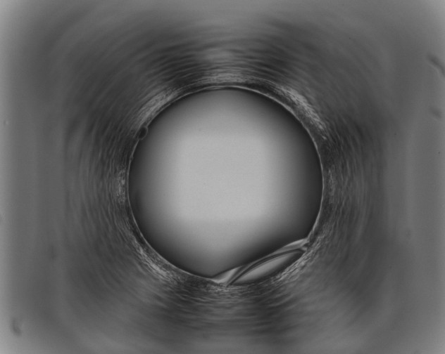 X0000097861225200804041521