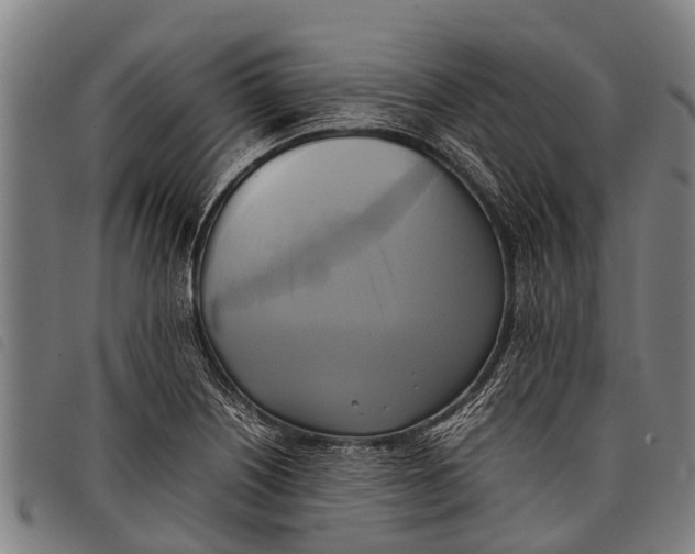 X0000097861226200804041521