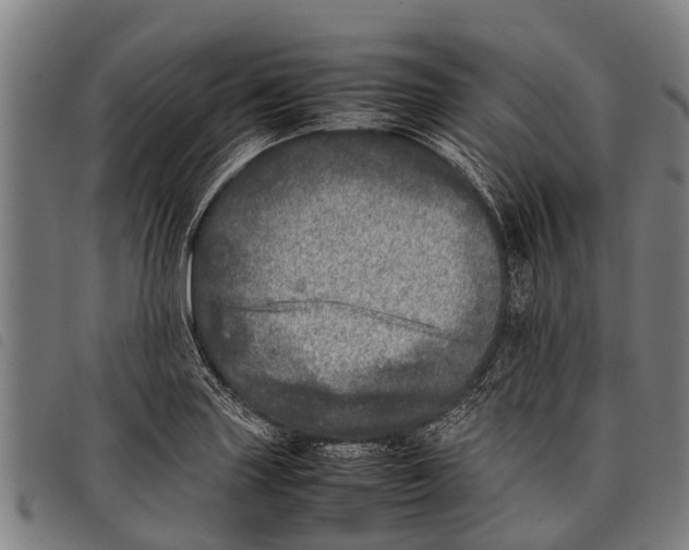 X0000097861227200804041521