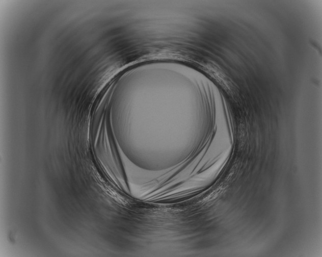 X0000097861228200804041521