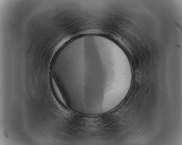 X0000097861229200804041521