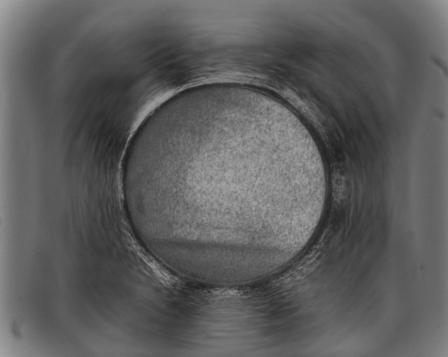 X0000097861230200804041521