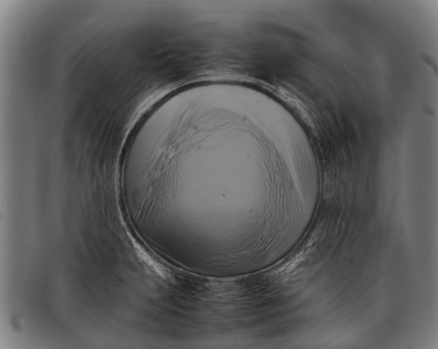 X0000097861231200804041521