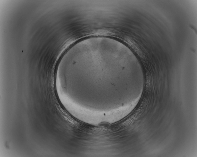 X0000097861232200804041521