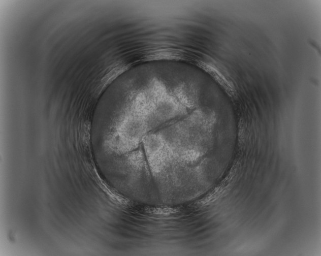 X0000097861233200804041521