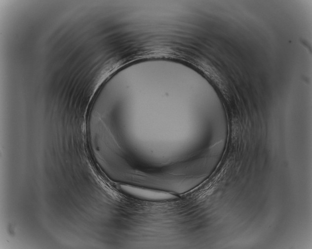 X0000097861234200804041521