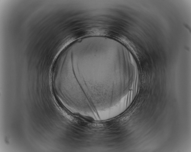 X0000097861235200804041521