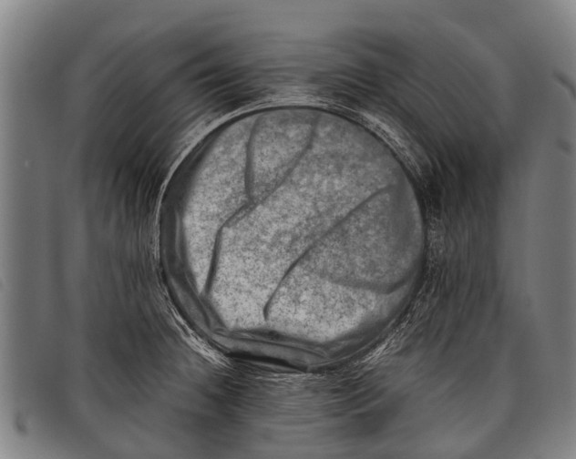 X0000097861236200804041521