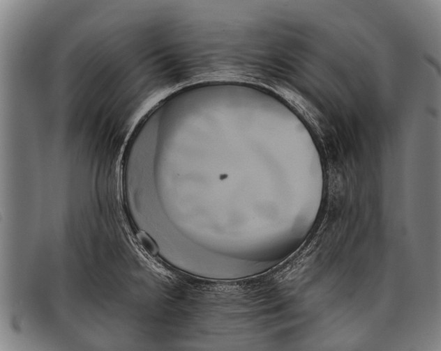 X0000097861238200804041521