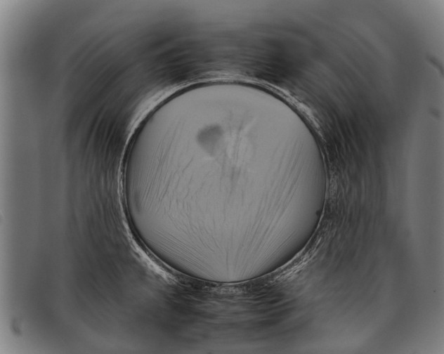 X0000097861239200804041521