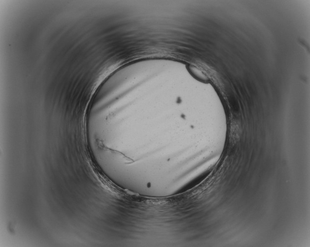 X0000097861242200804041521