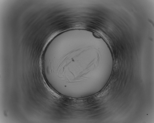 X0000097861243200804041521