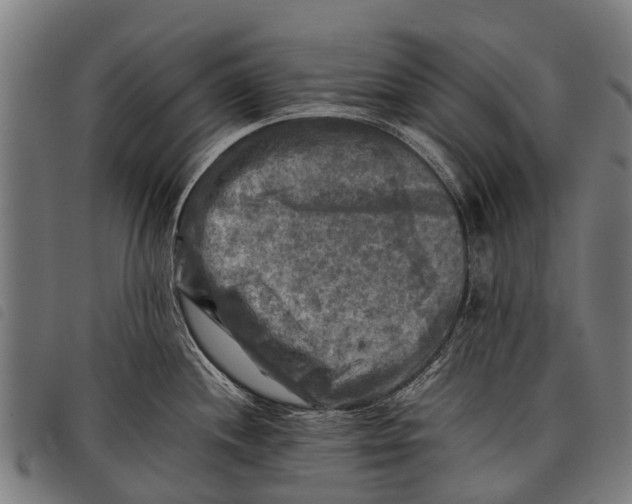 X0000097861244200804041521