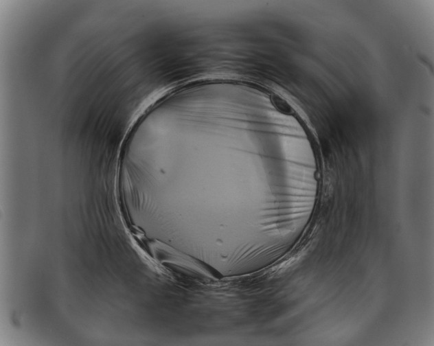 X0000097861245200804041521