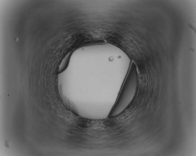 X0000097861249200804041521