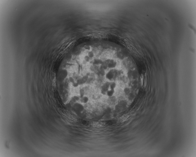 X0000097861251200804041521