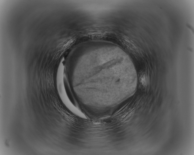 X0000097861252200804041521