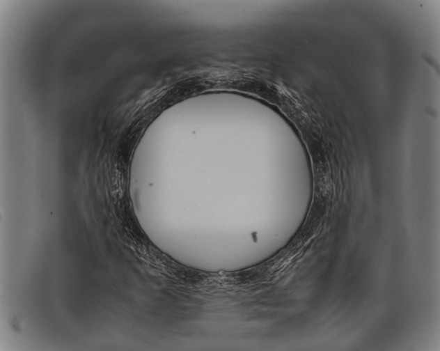 X0000097861253200804041521