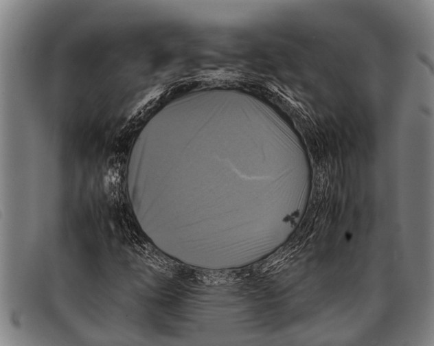 X0000097861254200804041521