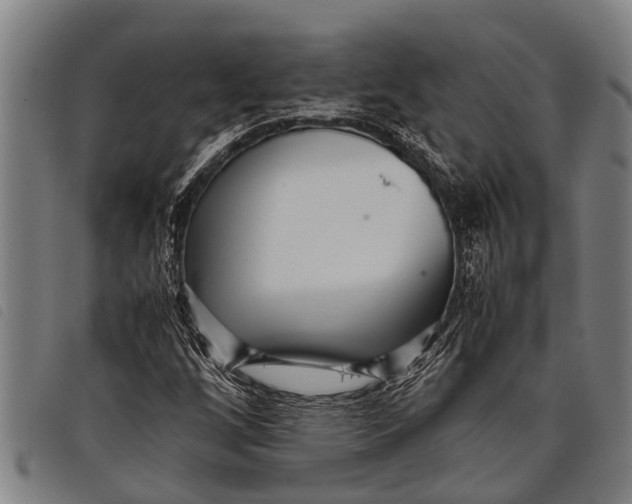 X0000097861256200804041521