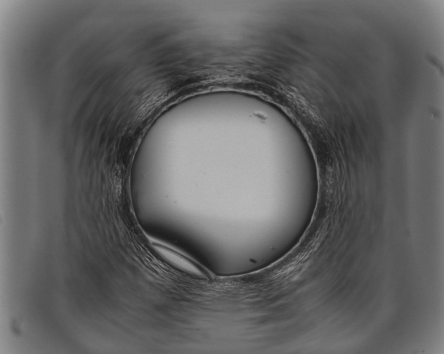 X0000097861257200804041521