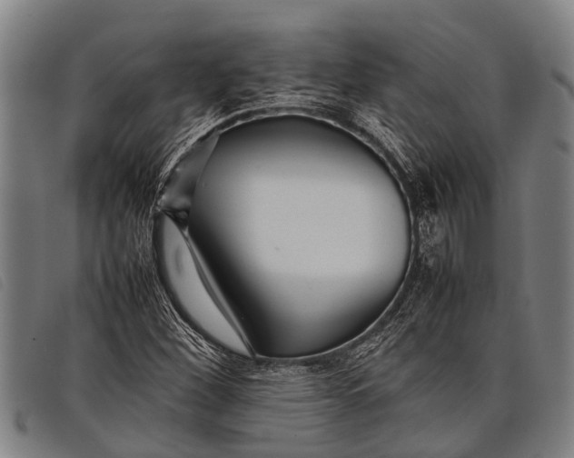 X0000097861260200804041521