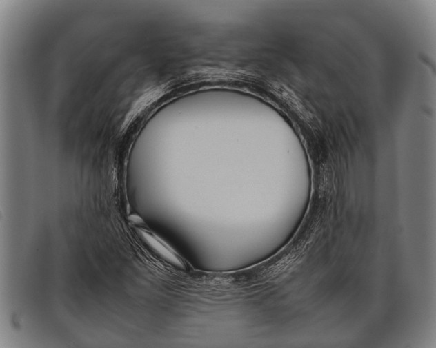 X0000097861261200804041521