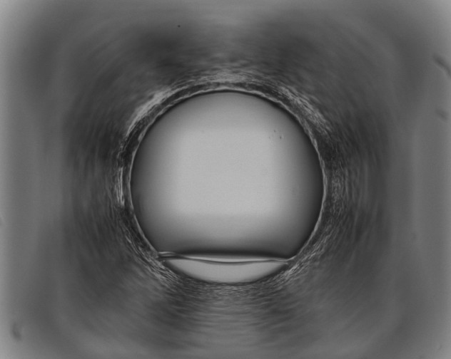 X0000097861262200804041521