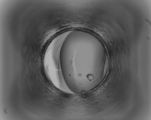 X0000097861263200804041521