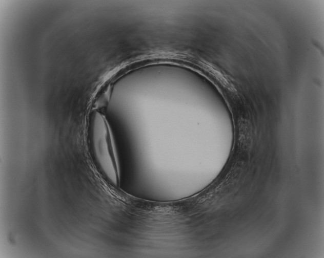 X0000097861264200804041521