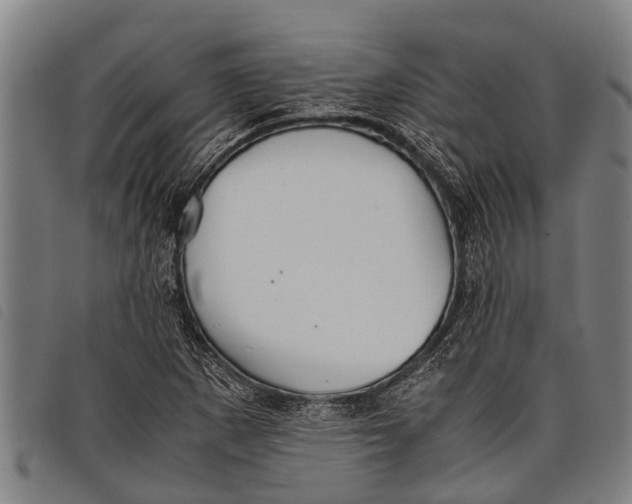 X0000097861265200804041521