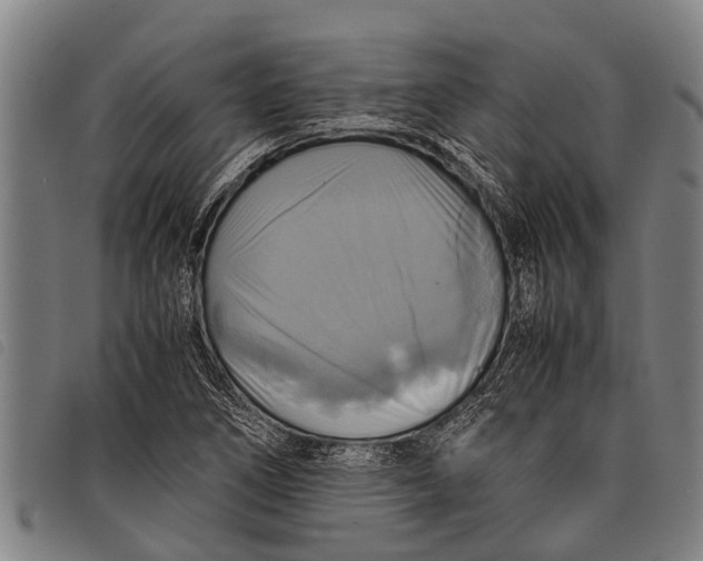 X0000097861266200804041521